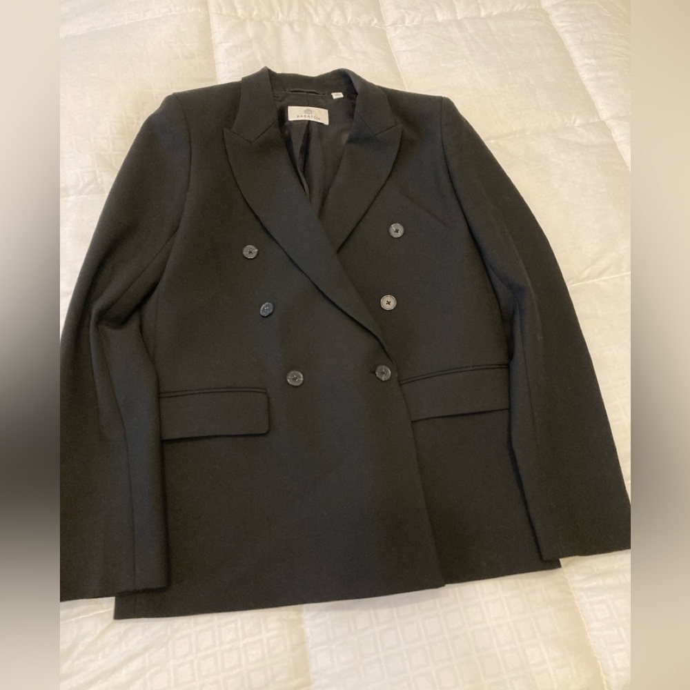 Aritzia Babaton blazer